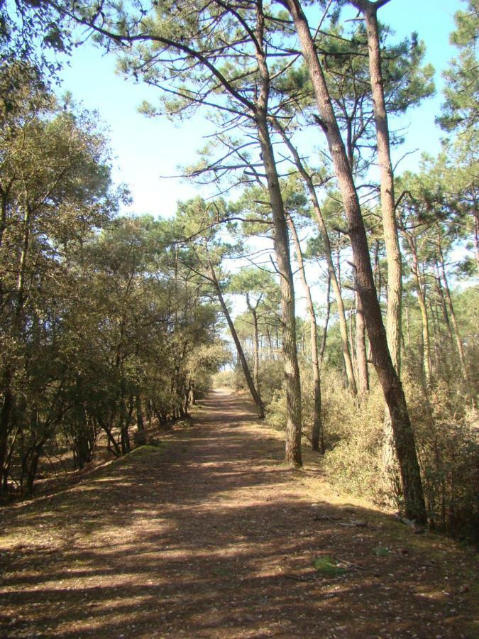 Ile Au Pre Vue Lac Et Golf Talmont-Saint-Hilaire ภายนอก รูปภาพ