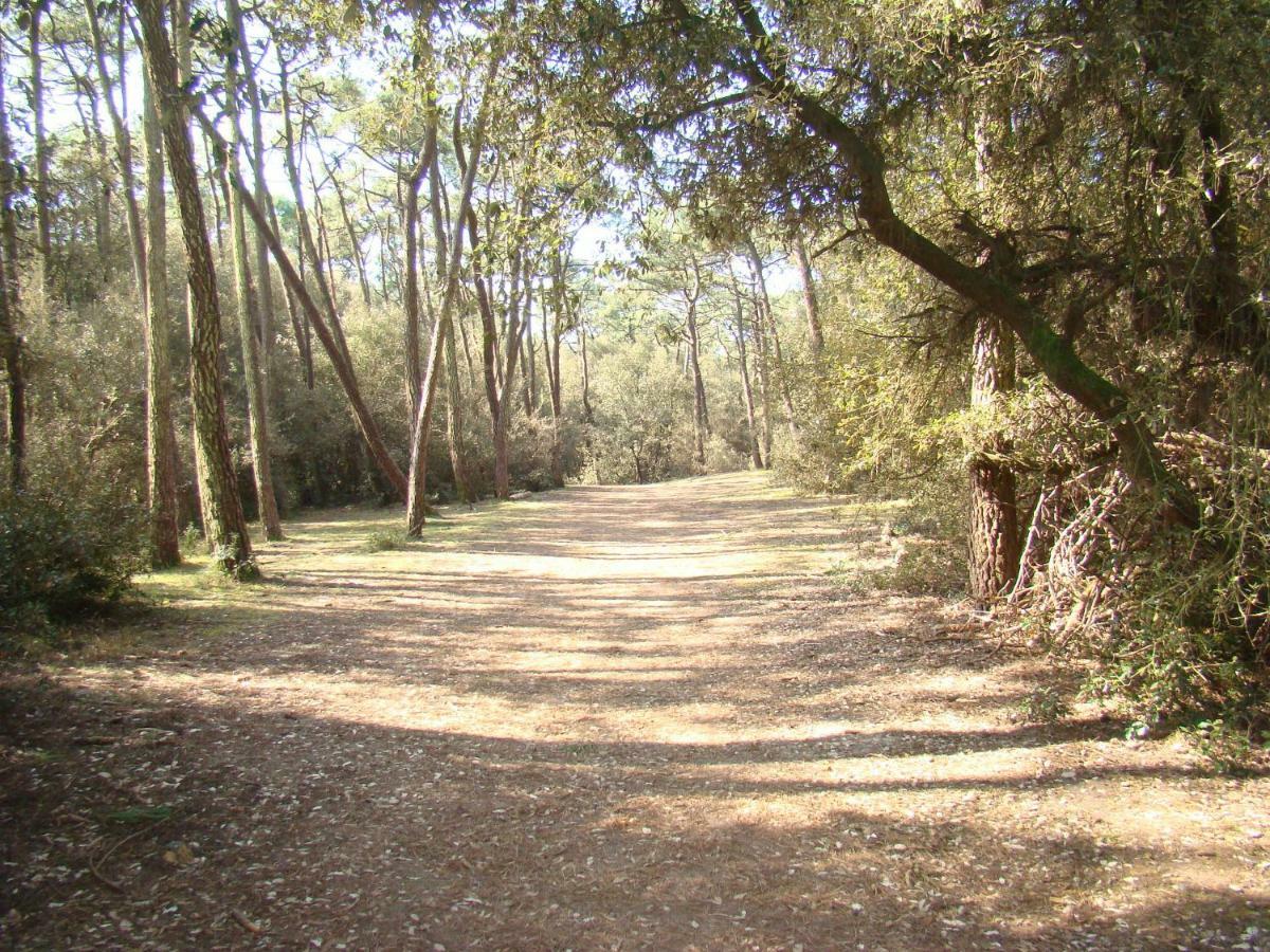 Ile Au Pre Vue Lac Et Golf Talmont-Saint-Hilaire ภายนอก รูปภาพ